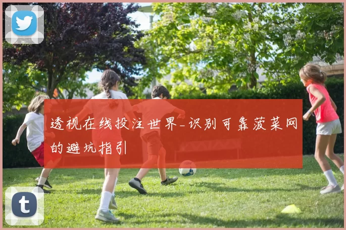 透视在线投注世界_识别可靠菠菜网的避坑指引