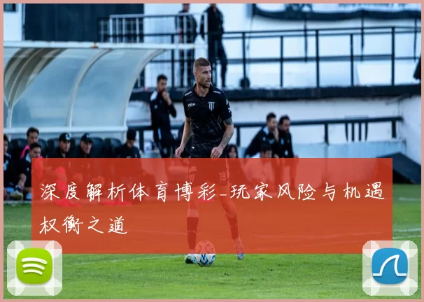 深度解析体育博彩_玩家风险与机遇权衡之道