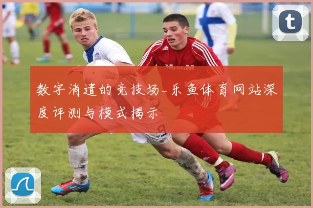 数字消遣的竞技场_乐鱼体育网站深度评测与模式揭示