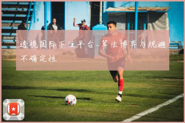 透视国际下注平台_算法博弈与规避不确定性