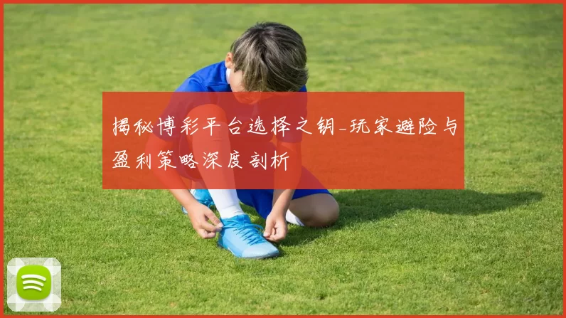 揭秘博彩平台选择之钥_玩家避险与盈利策略深度剖析