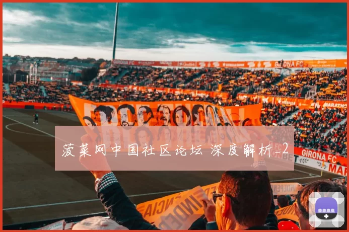 菠菜网中国社区论坛 深度解析_2