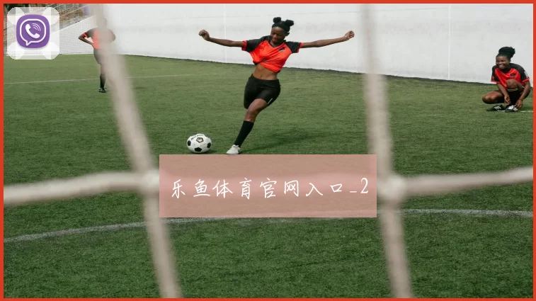 乐鱼体育官网入口_2