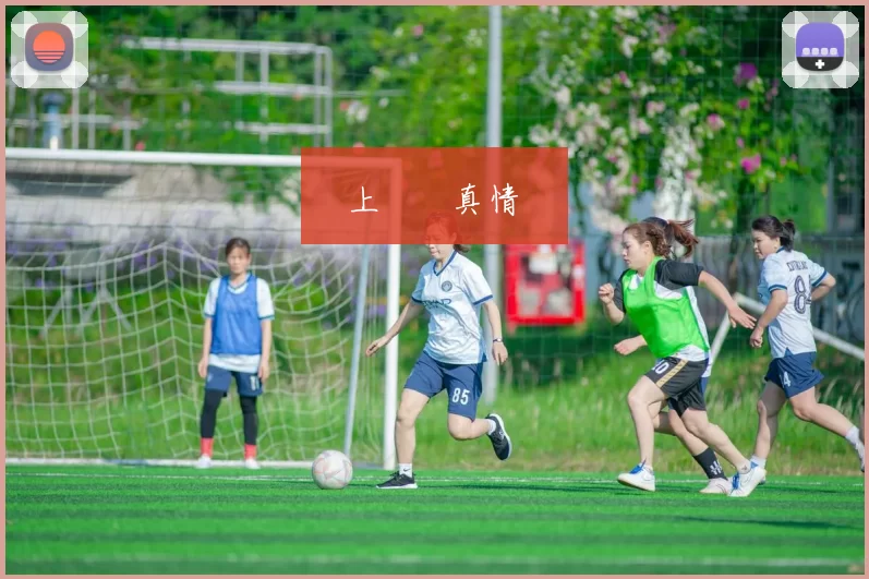 網上賭場真情實錄