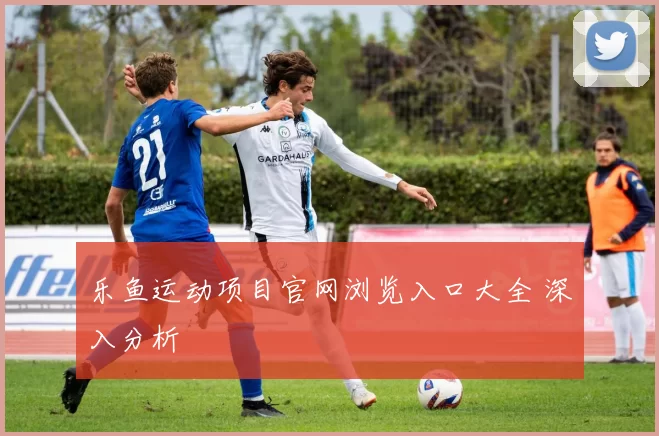 乐鱼运动项目官网浏览入口大全 深入分析