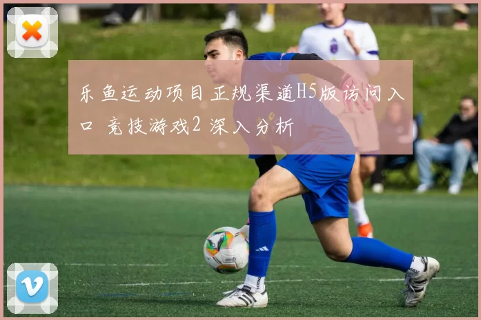 乐鱼运动项目正规渠道H5版访问入口 竞技游戏2 深入分析