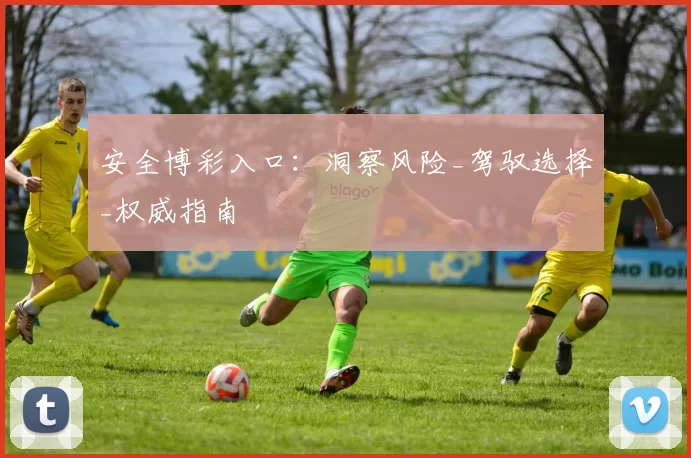 安全博彩入口：洞察风险_驾驭选择_权威指南