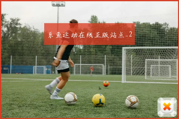乐鱼运动在线正版站点_2