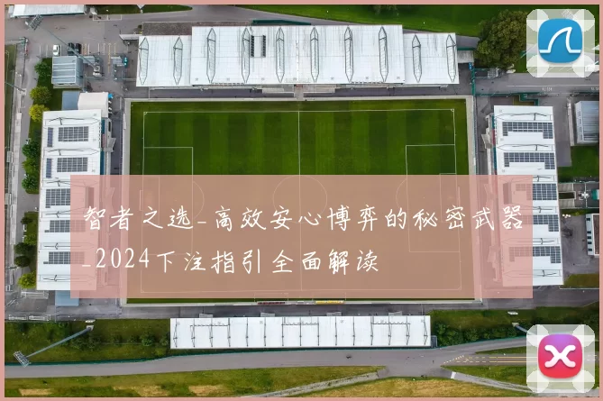 智者之选_高效安心博弈的秘密武器_2024下注指引全面解读