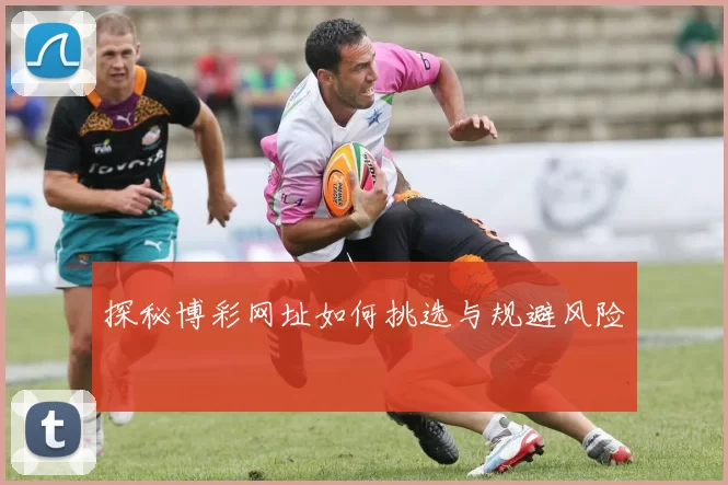 探秘博彩网址如何挑选与规避风险