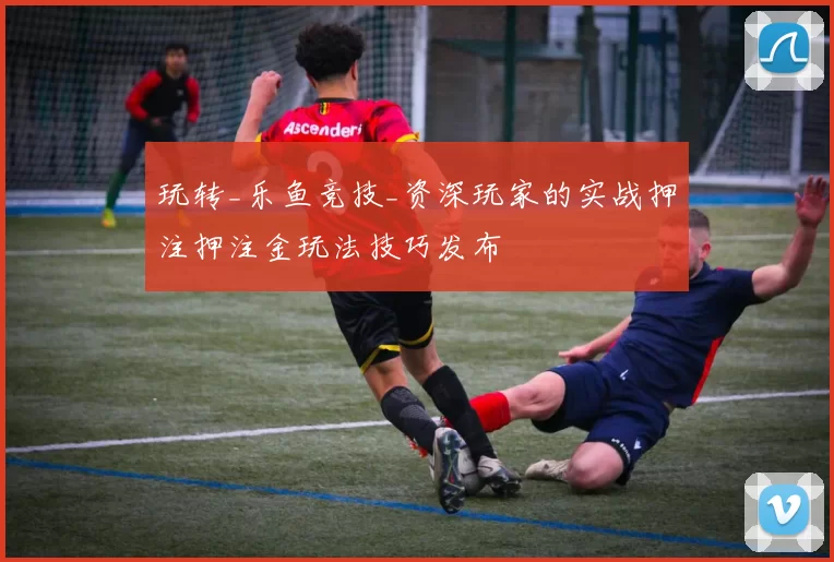 玩转_乐鱼竞技_资深玩家的实战押注押注金玩法技巧发布