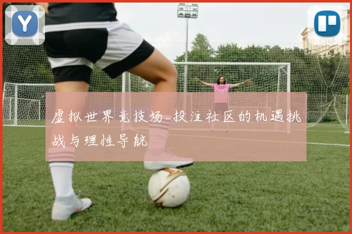 虚拟世界竞技场_投注社区的机遇挑战与理性导航