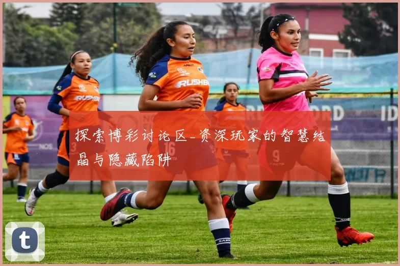 探索博彩讨论区_资深玩家的智慧结晶与隐藏陷阱