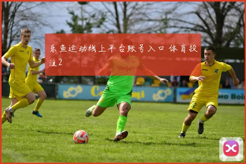 乐鱼运动线上平台账号入口 体育投注2