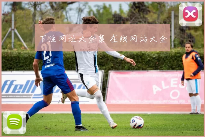 下注网址大全集 在线网站大全