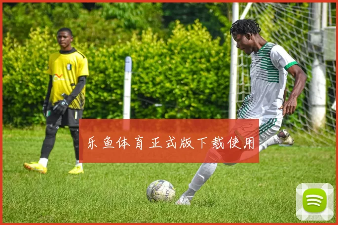 乐鱼体育正式版下载使用