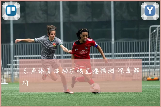 乐鱼体育活动在线直播预测 深度解析