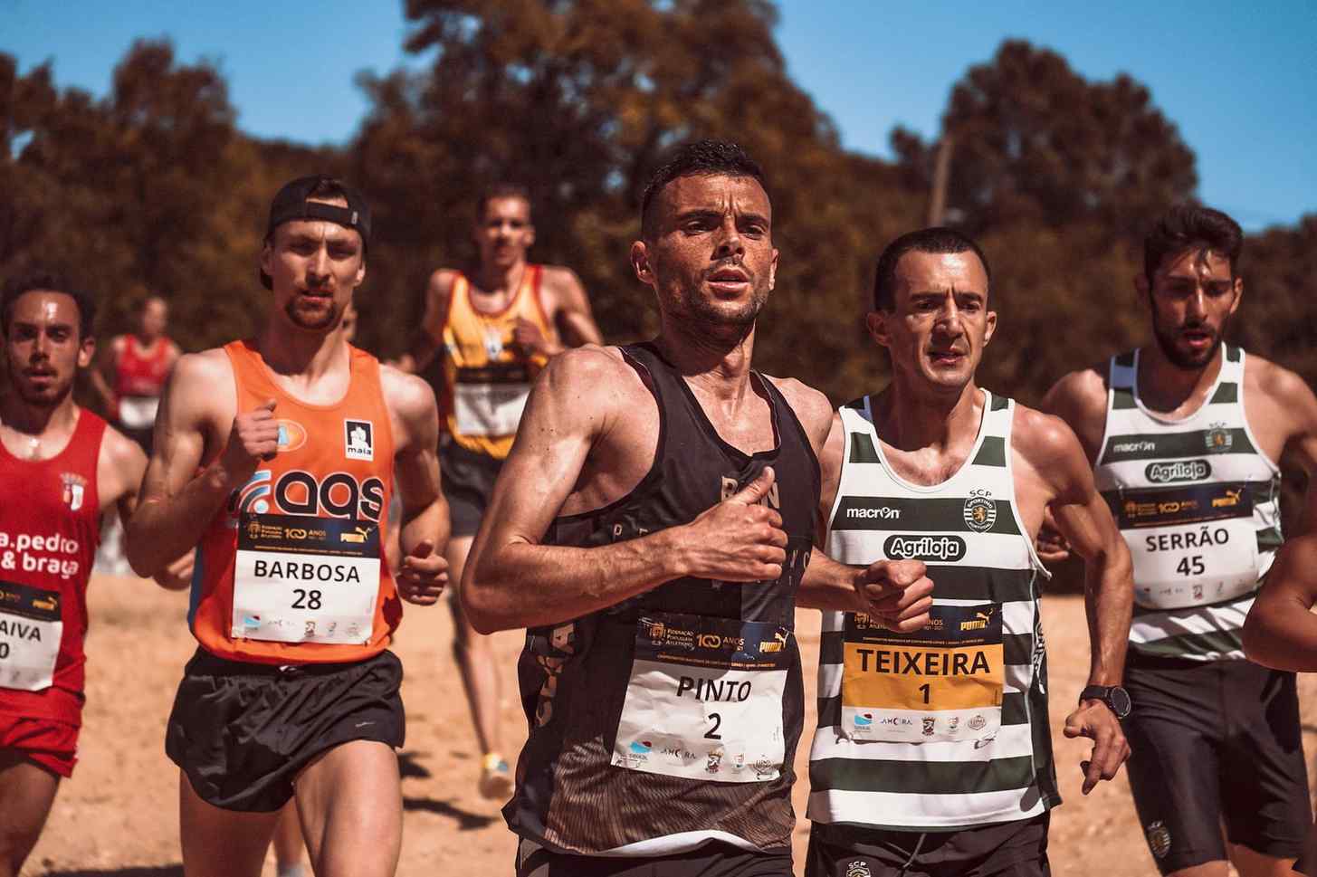 乐鱼竞技正版游戏厅正规门户网站正规渠道站点官网入口入口地址地址地址 博弈3